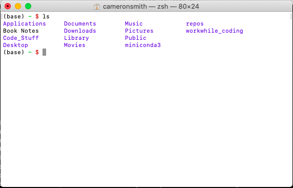 ls command being used in the home directory